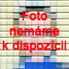 dasar